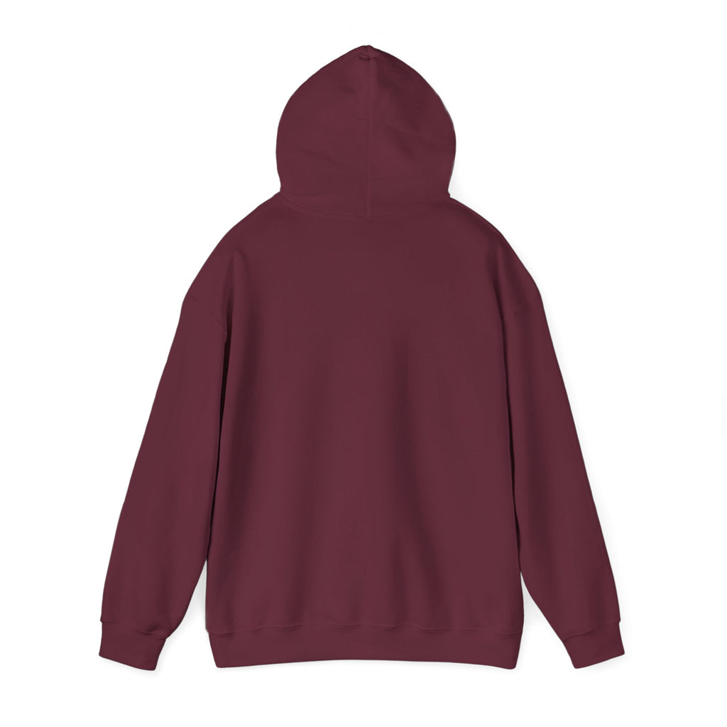 I Had a Funky Car Before You Had a Funky Ehh Hoodie