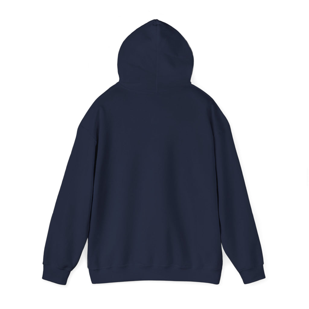 I Had a Funky Car Before You Had a Funky Ehh Hoodie