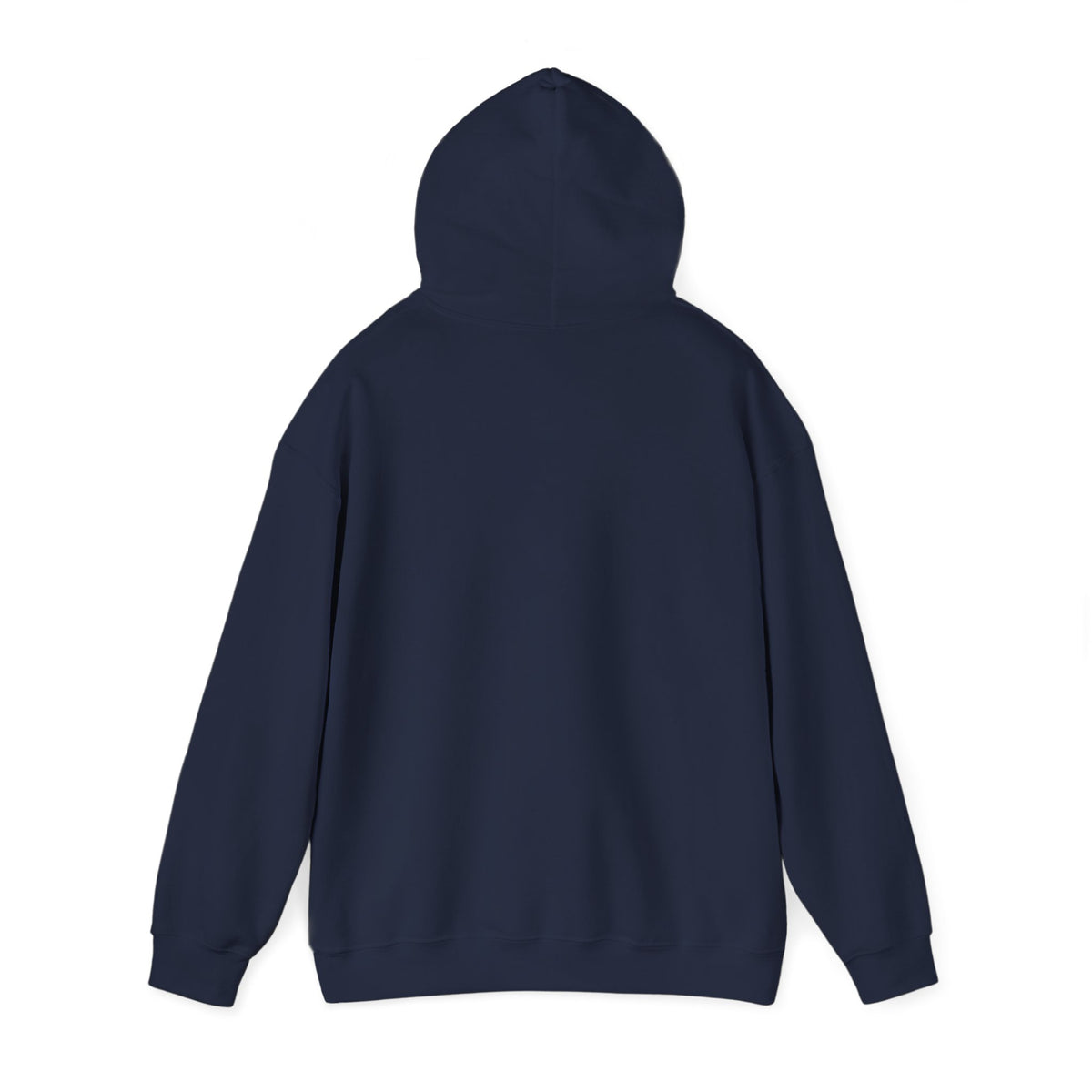 I Had a Funky Car Before You Had a Funky Ehh Hoodie