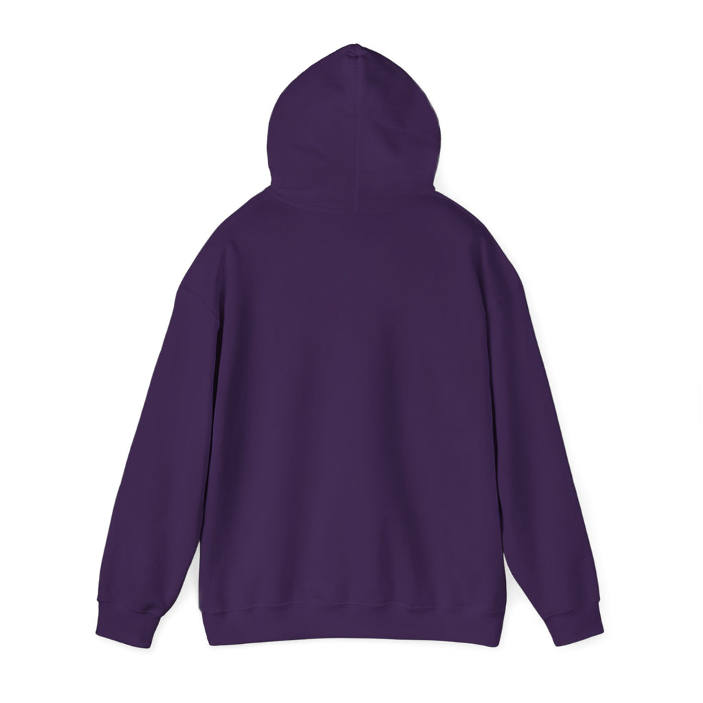 Crashing Out Since Y2K Hoodie