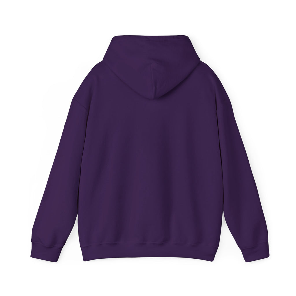 Crashing Out Since Y2K Hoodie
