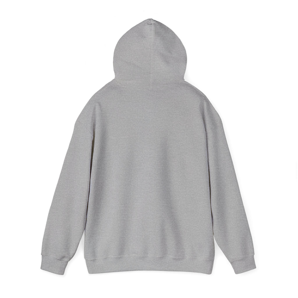 Whatever. I Can’t Even. I Can’t Do Nathan. Hoodie