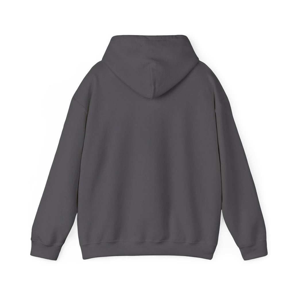 Crashing Out Since Y2K Hoodie