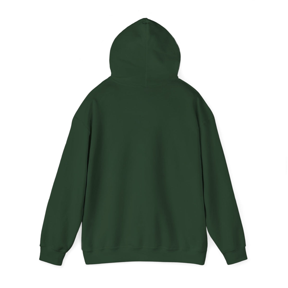 I Had a Funky Car Before You Had a Funky Ehh Hoodie